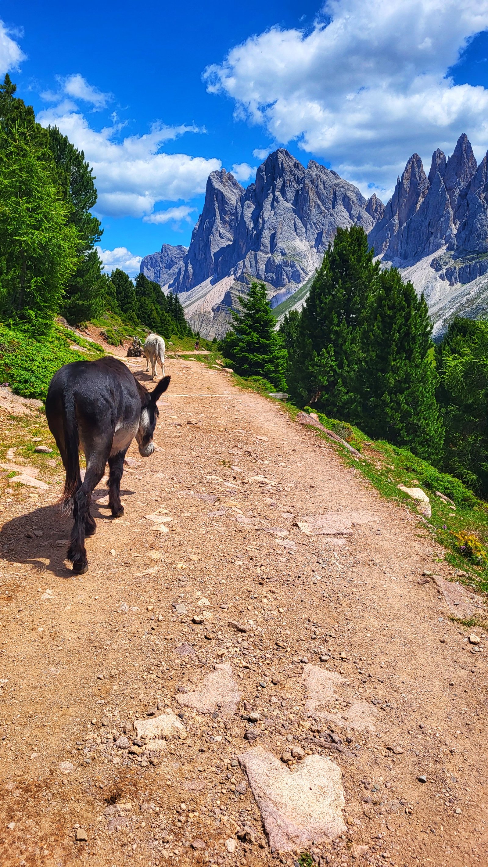 Südtirol Berge