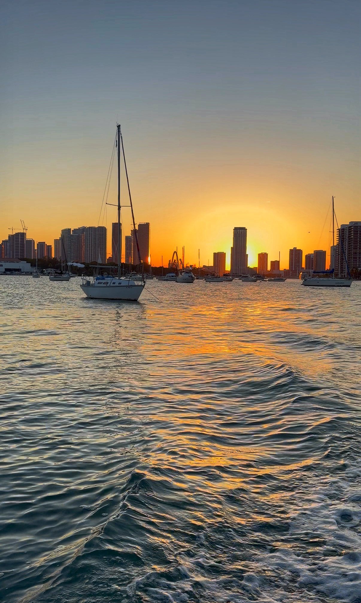 Miami Skyline