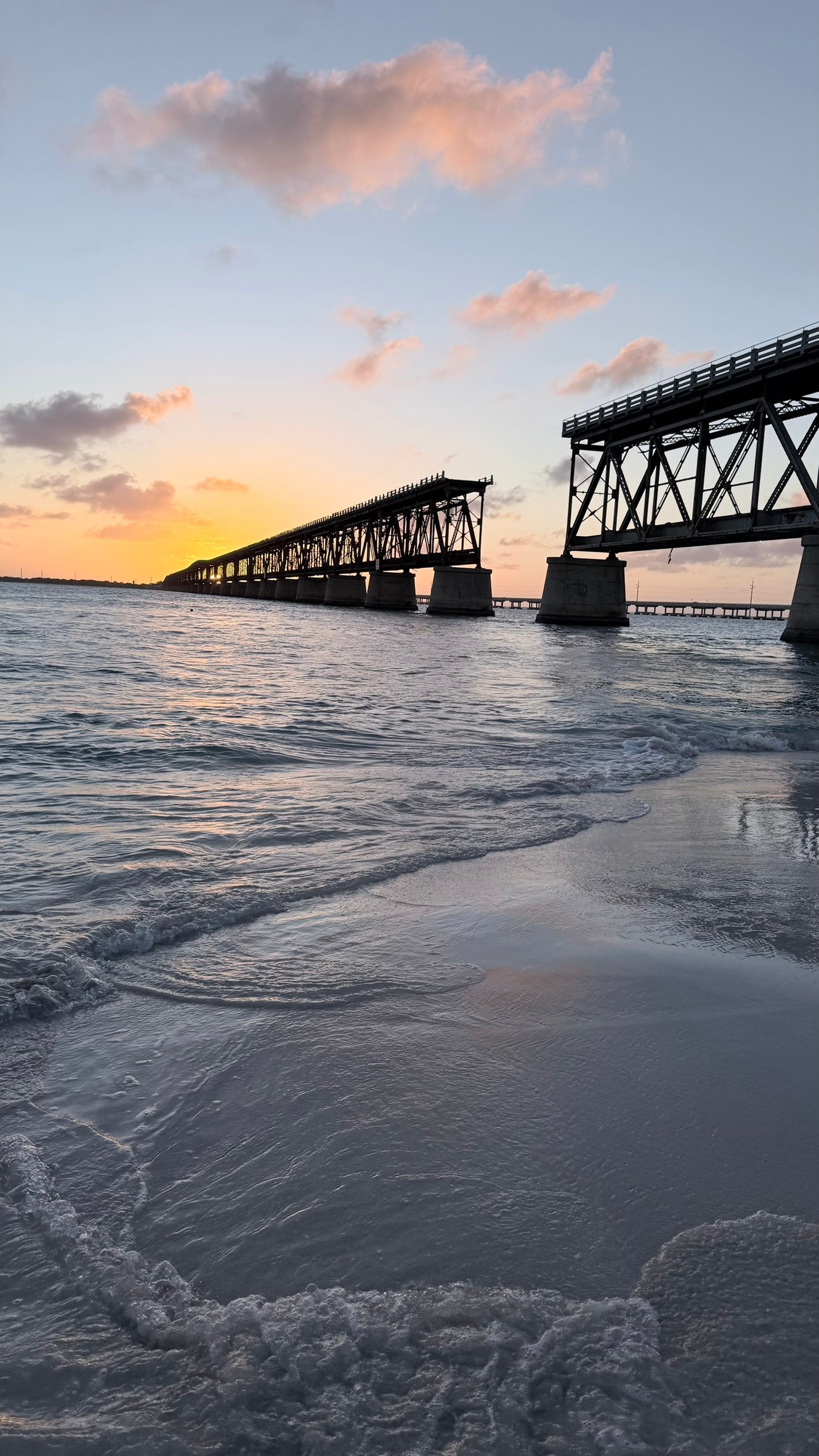 Florida Life